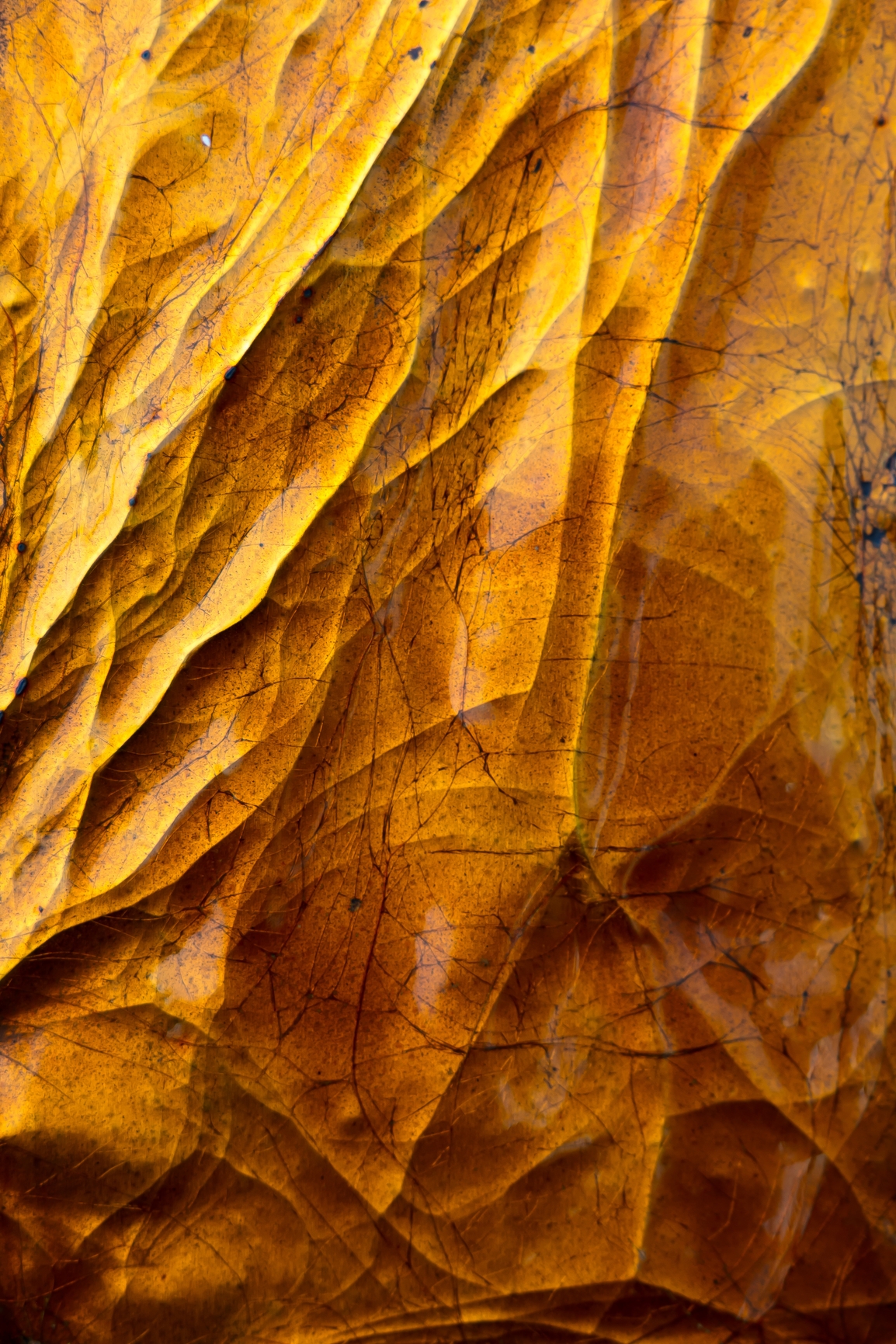 œuvre en émail sur métal présente à la galerie d'EMPREINTES